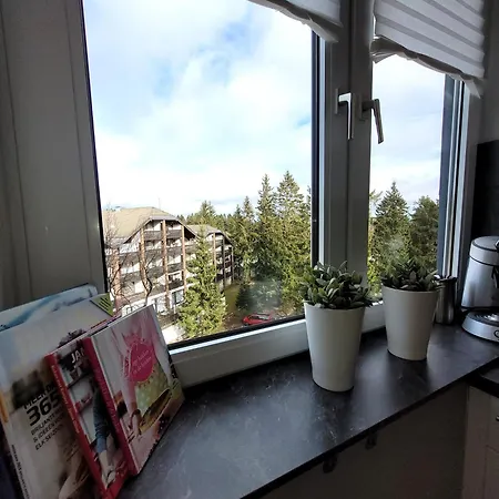 21088 Apartment Winterberg